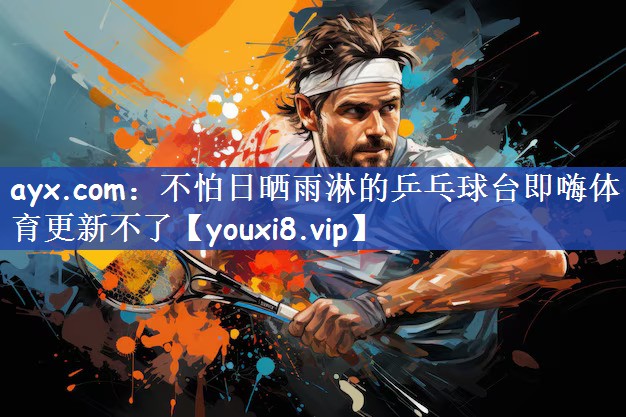 ayx.com：不怕日晒雨淋的乒乓球台即嗨体育更新不了