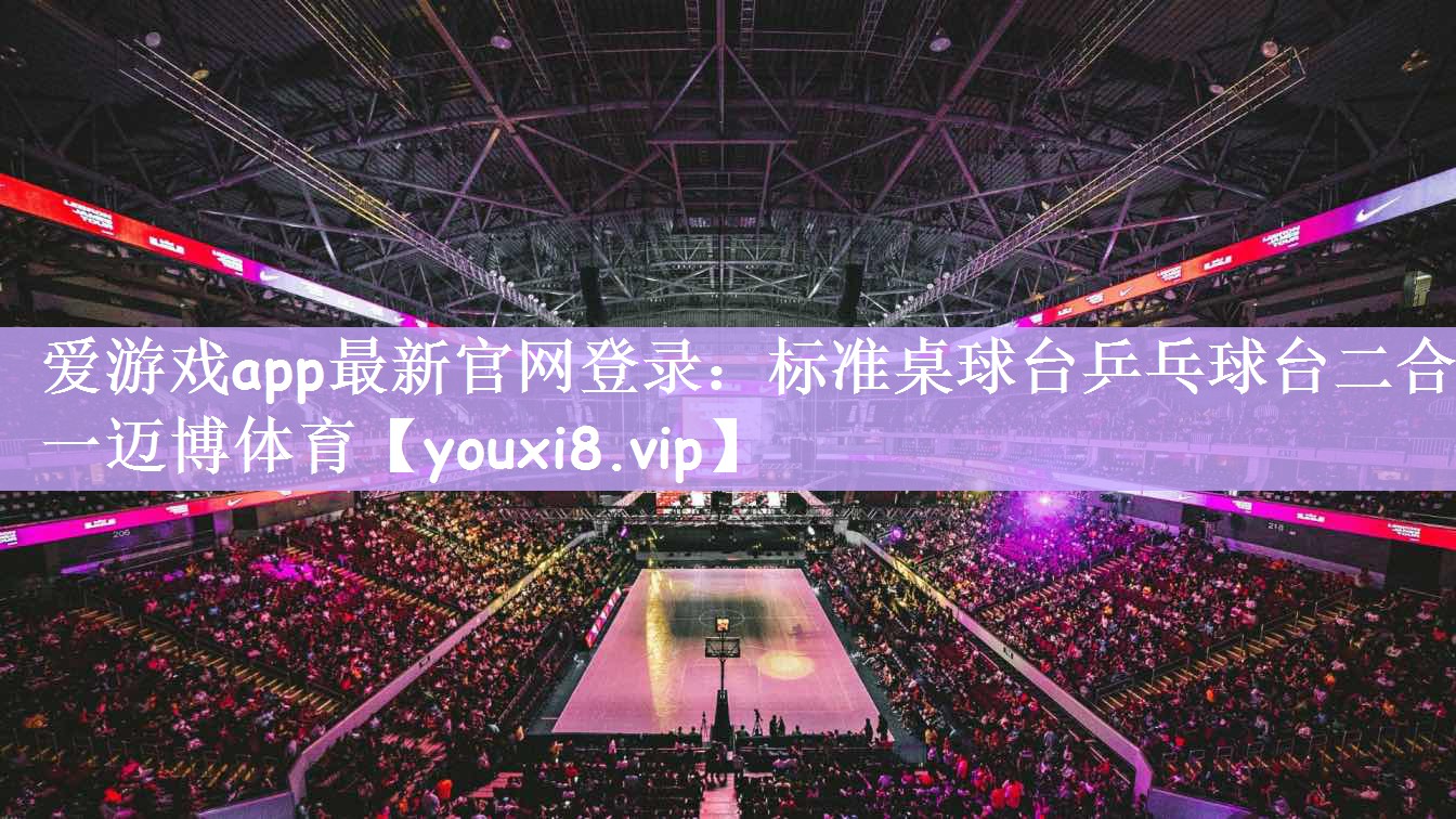 爱游戏app最新官网登录：标准桌球台乒乓球台二合一迈博体育