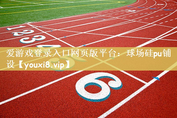 爱游戏登录入口网页版平台：球场硅pu铺设