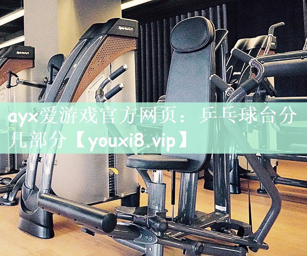 乒乓球台分几部分