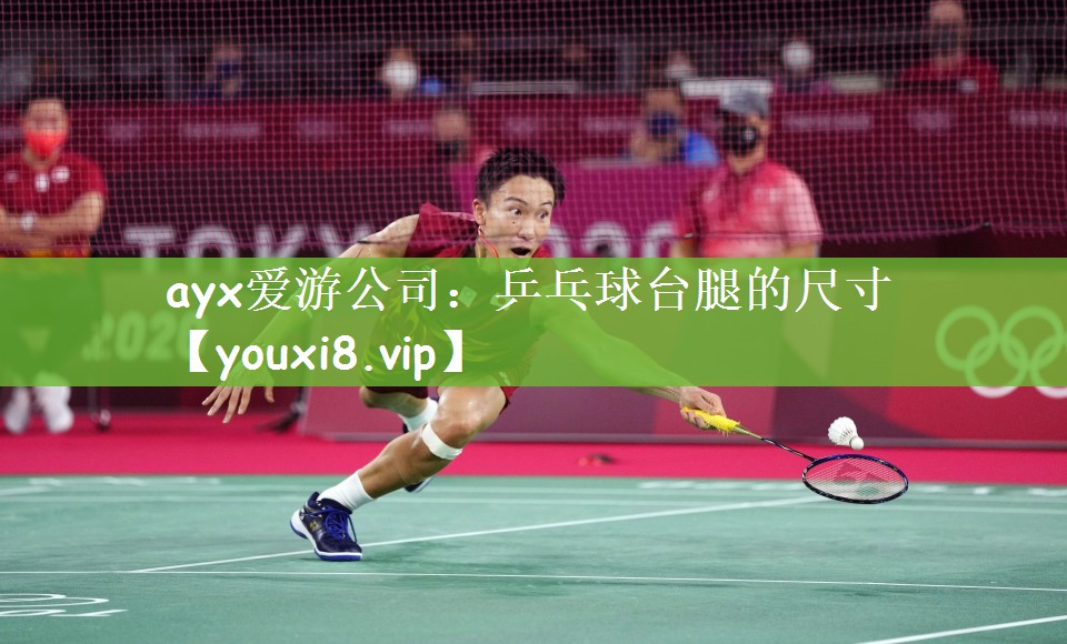 乒乓球台腿的尺寸